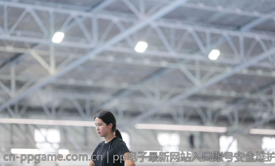 pp电子最新网站入口账号安全维护技巧