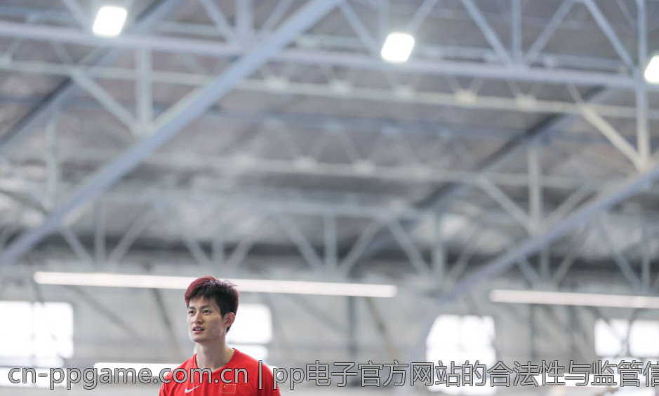 pp电子官方网站的合法性与监管信息