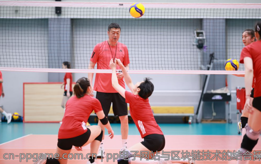 pp电子网站与区块链技术的结合探讨