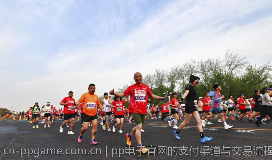 pp电子官网的支付渠道与交易流程解析